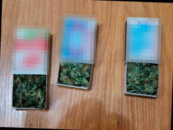 В Сочи задержан местный житель с марихуаной в рюкзаке