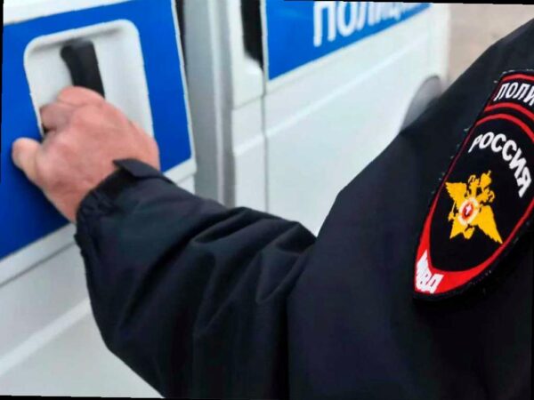 В Сочи нашли большое количество нелегальных морепродуктов