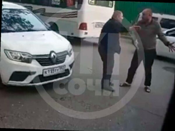 Более 20 пьяных водителей и инцидент с ножом: обзор недели в Сочи