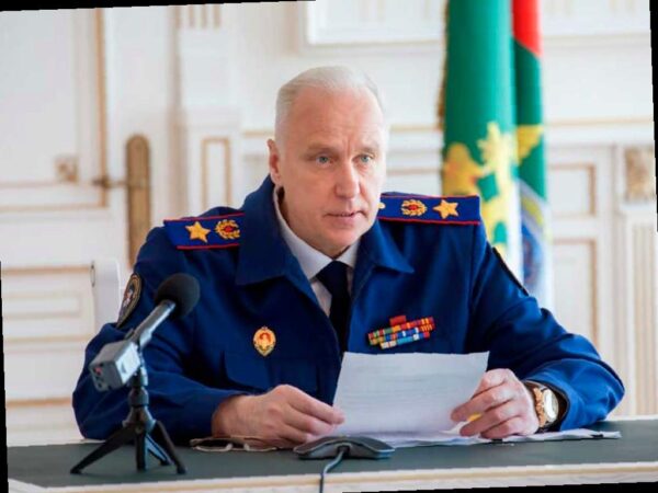 Бастрыкин озабочен инцидентом с собакой в ЖК «Моравия» в Сочи