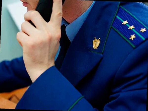 Прокуратура Сочи проведет «горячую линию» по вопросам трудовых прав