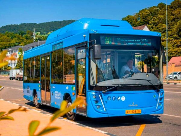 Сокращение маршрута автобуса №86 и запуск круглосуточного автобуса до аэропорта в Сочи