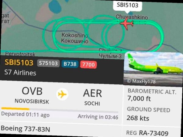 На авиарейсе из Новосибирска в Сочи произошла небольшая проблема — разгерметизация салона самолета Boeing-737 компании S7 Airlines. В 10 утра по московскому времени авиакомпания приняла решение вернуться в аэропорт вылета для проверки системы регулирования давления в кабине.