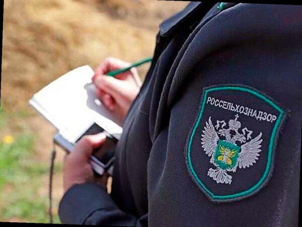 В Адыгее обнаружены зоны с опасным сорняком