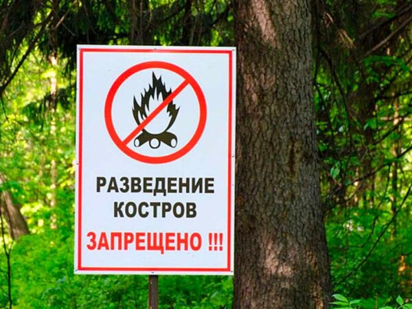 В Сочи объявлена пожароопасность 4 класса