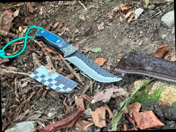 Браконьер убил медведя в Сочинском нацпарке