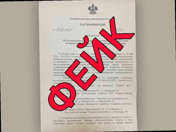 Карантин по бешенству животных в Краснодарском крае — фейк!