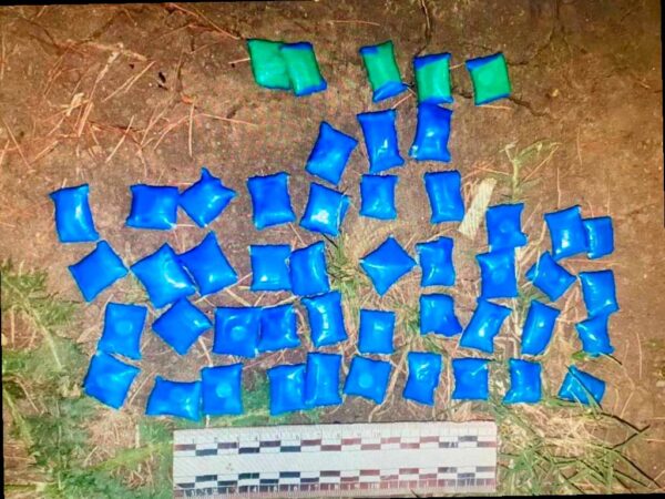 В Адлере задержаны два курьера с крупной партией наркотиков