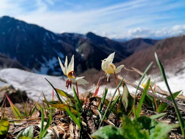 В Сочи откроется выставка победителей конкурса «Четыре сезона красоты»