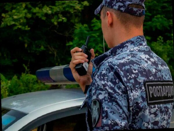 Росгвардия помогает в поимке преступников в Сочи