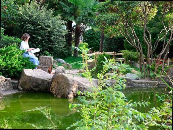 15 миллионов рублей выделено на обновление Сада Российско-Японской дружбы в Сочи. Парк станет ещё привлекательнее благодаря новым деревьям, кустарникам и цветам. Работы по озеленению парка уже идут, а глава города лично проверил их ход.