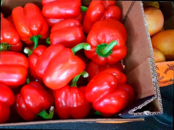 На Кубани найдено более 5 тонн зараженных овощей