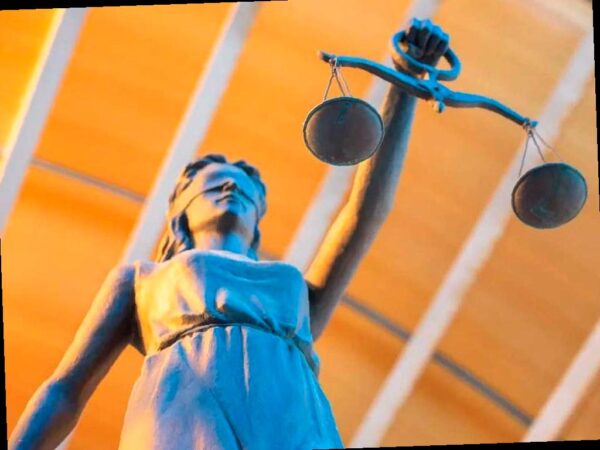 Штраф на 10 миллионов рублей за вырубку деревьев на участке в Сочи