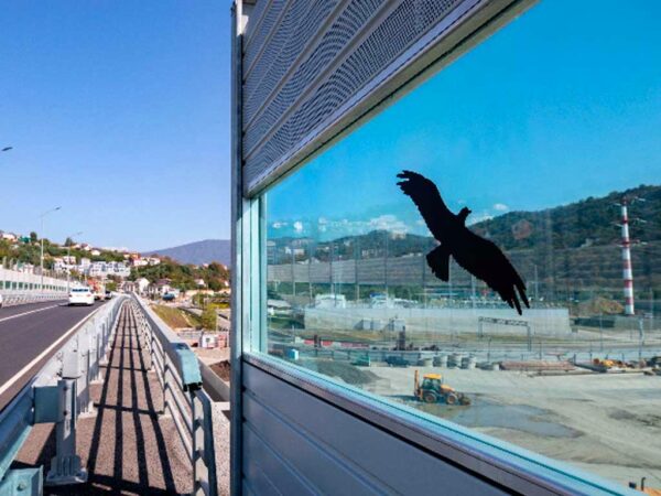 Дорожники в Сочи решили защитить птиц от столкновений с экранами