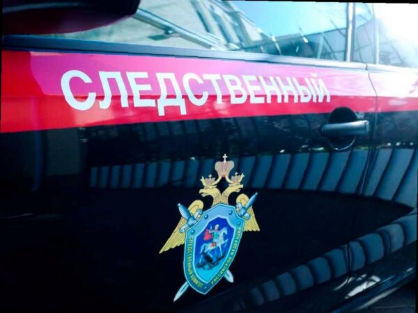 Сочинка из села Каштаны убила брата своего сожителя