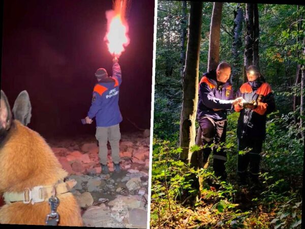 Пенсионерка из Сочи провела ночь в лесу, но была найдена спасателями