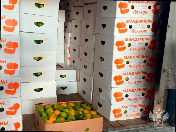 «На российско-абхазской границе начался сезон мандаринов»