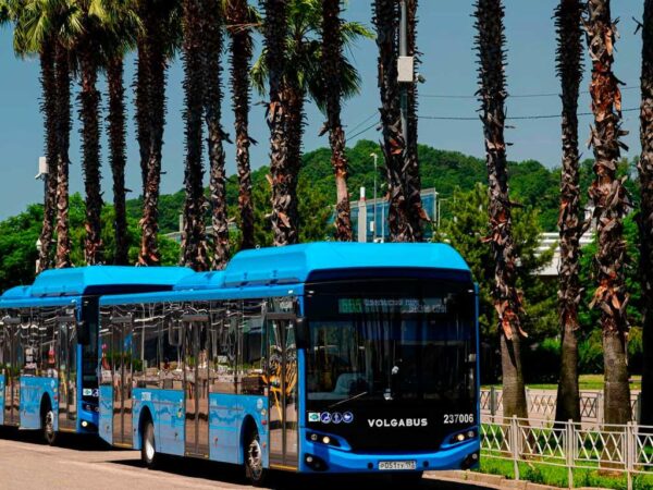 Дополнительные вечерние автобусы будут запущены в Сириусе