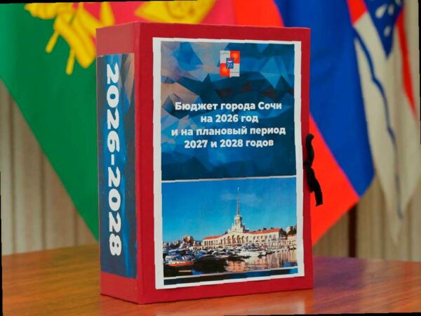 Андрей Прошунин: бюджет Сочи сохранит социальную направленность до 2028 года