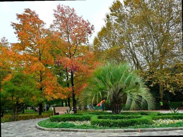 В Хостинском районе Сочи открыли обновлённый парк 50 лет Победы