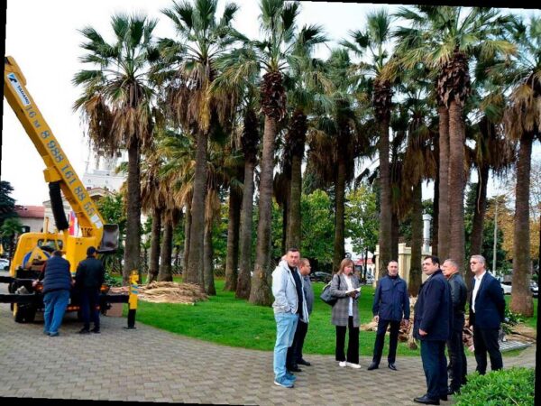 В центре Сочи сквер «Кооперативный» будет преобразован