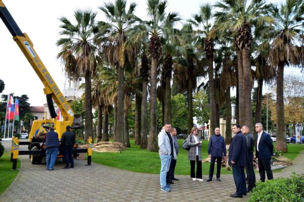 «Виктор Тепляков вместе с коллегами осмотрел сквер «Кооперативный»