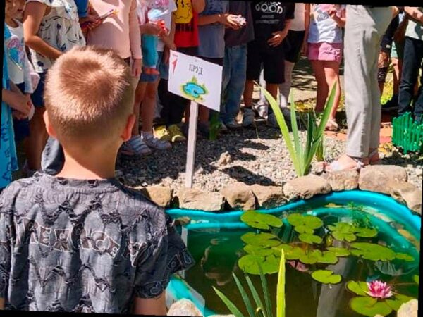 Три школы в Сочи получат по 100 тысяч рублей на экопроекты