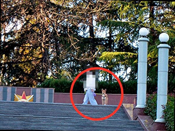 Охрана памятника в Сочи: депутат Виктор Тепляков на месте