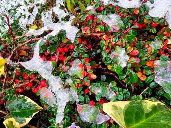 Сочи готовится к приходу холодов