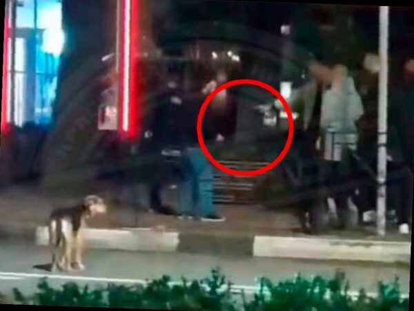 Ночная драка возле бара на Курортном проспекте в Сочи