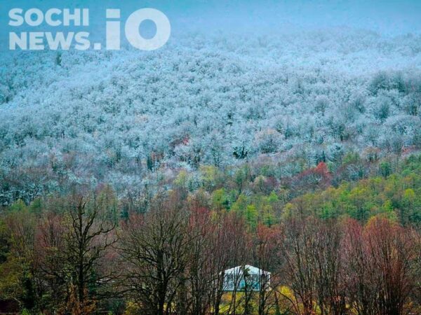 Сильные снегопады ожидаются в горах Сочи