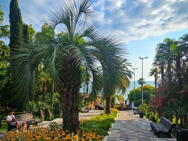 Рост туристов: Сочи ожидает рекордный поток в 2025 году