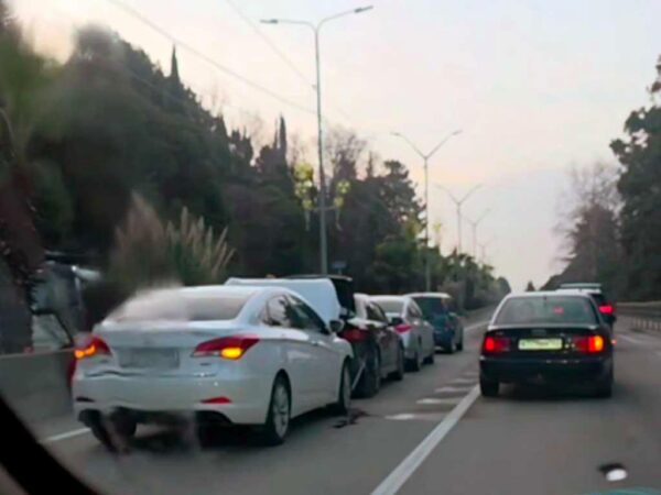 Сразу четыре машины столкнулись «паровозиком» в Адлере