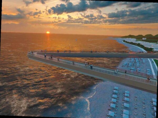 В Сириусе планируют создать самую длинную в Европе подвесную экотропу