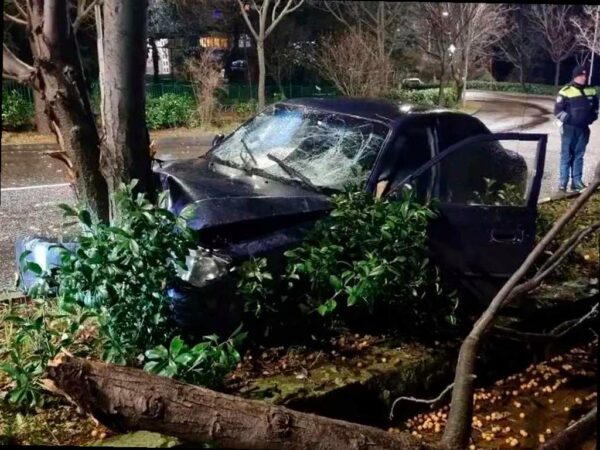 Подросток на машине столкнулся с деревом в Сочи