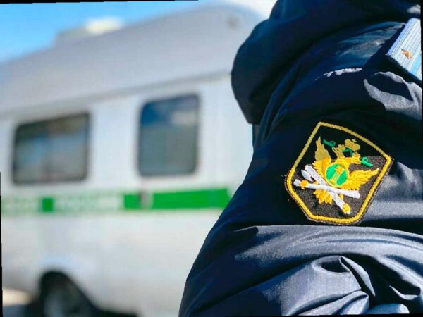 В Краснодарском крае алименты были взысканы с криптокошелька