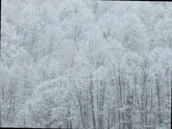 В горах Сочи ожидается сильный снегопад