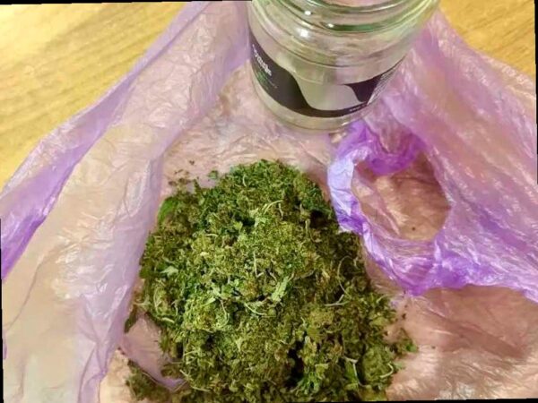 Приехал на заработки, получил статью: в Сочи задержали приезжего с мар