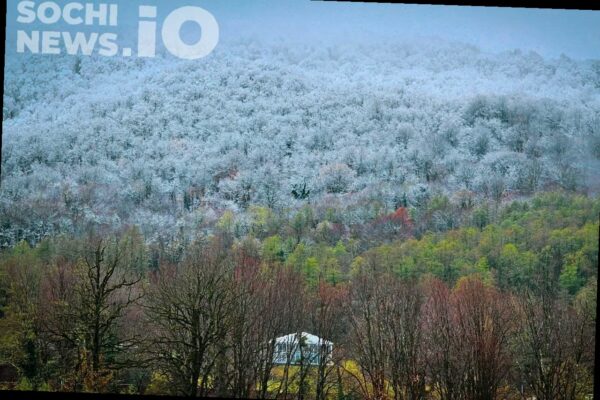 Туман и ливни: в Сочи ухудшится погода, в горах сохраняется лавиноопас