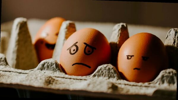 На Кубани подорожали яйца и овощи, а техника заметно подешевела